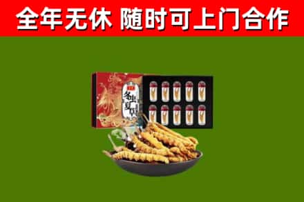 云和县回收冬虫夏草价格