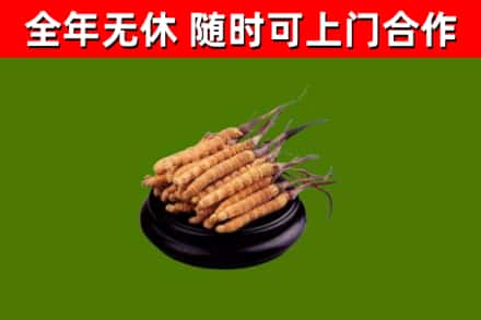 云和县烟酒回收冬虫夏草.jpg